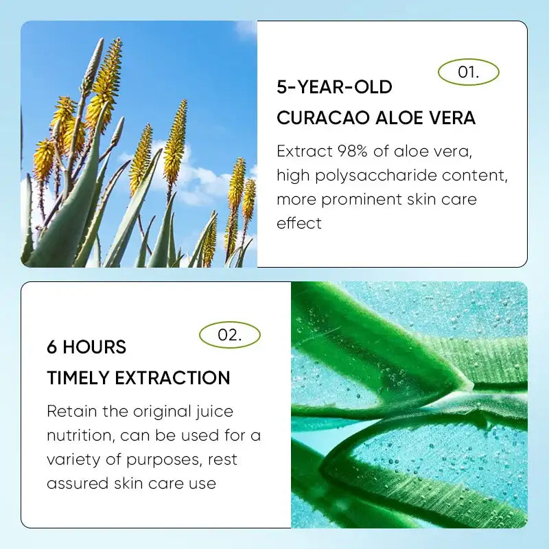 Aloe Balm pour les Lèvres