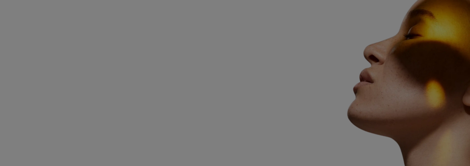 Banner slide 1