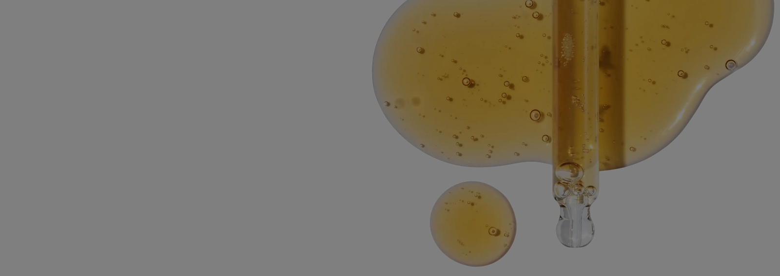 Banner slide 2